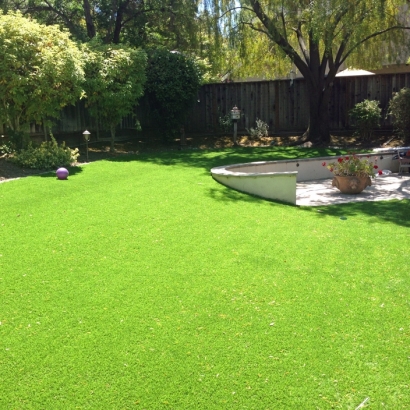 Home Putting Greens & Synthetic Lawn in Ak Chin, Arizona