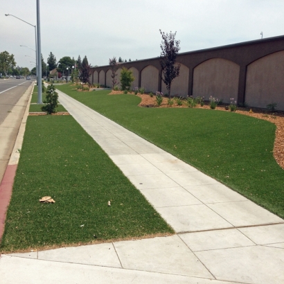 Synthetic Grass in Ali Chuk, Arizona