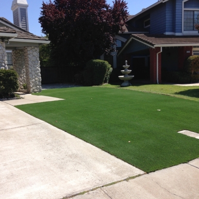 Synthetic Turf in Ali Molina, Arizona