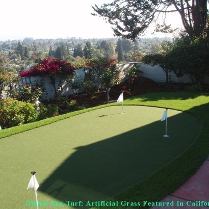 Artificial Turf in Glendale, Arizona