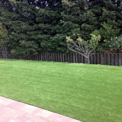 Artificial Grass in Gisela, Arizona