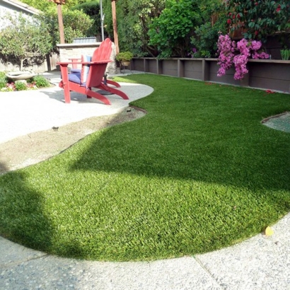 Synthetic Turf: Resources in Santan, Arizona