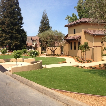 Artificial Grass in Tanque Verde, Arizona