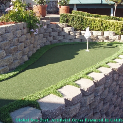 Fake Grass Carpet Tempe, Arizona Paver Patio, Backyard