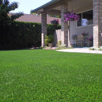 Fake Turf Grass in Tumacacori-Carmen, Arizona