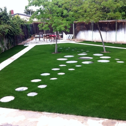 Artificial Grass in Aguila, Arizona