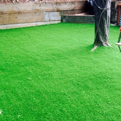 Artificial Grass in White Hills, Arizona