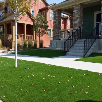 Home Putting Greens & Synthetic Lawn in Citrus Park, Arizona