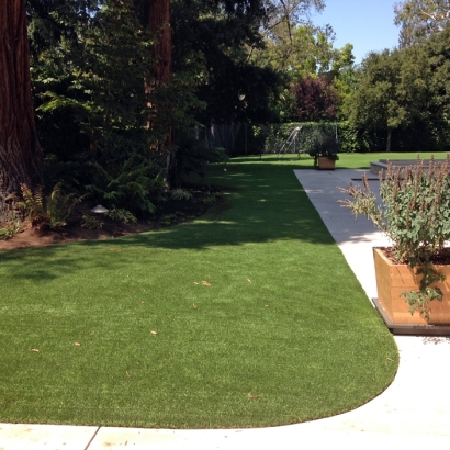 Fake Grass Clay Springs, Arizona City Landscape, Front Yard Landscaping Ideas