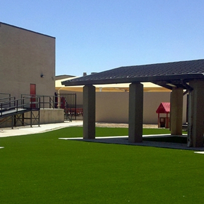 Artificial Grass in Santa Cruz County, Arizona