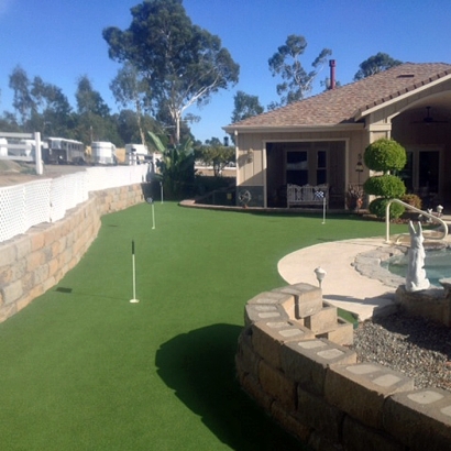 Fake Grass Fort Apache, Arizona Landscape Ideas, Small Backyard Ideas