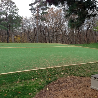 Fake Grass Heber-Overgaard, Arizona Garden Ideas