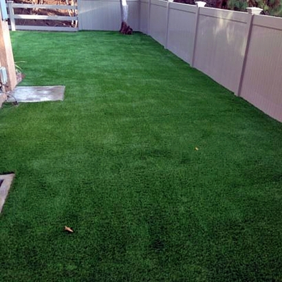 Fake Grass Kino Springs, Arizona Hotel For Dogs, Backyard Landscape Ideas