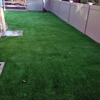 Fake Grass in Kino Springs, Arizona - Better Than Real