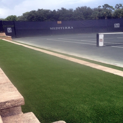 Artificial Turf in Bear Flat, Arizona