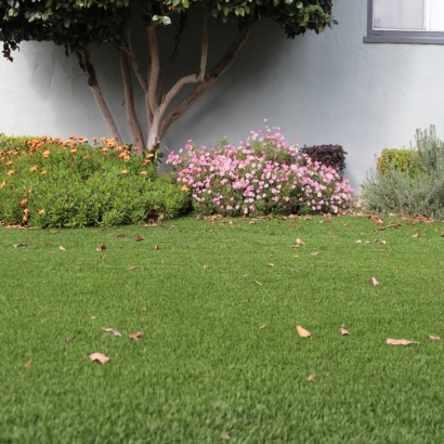 Fake Grass Peoria, Arizona Gardeners, Front Yard Design