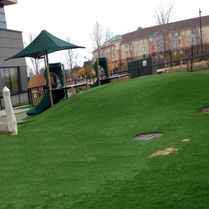 Synthetic Grass in Mammoth, Arizona