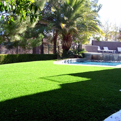 Synthetic Grass Warehouse - The Best of Fort Apache, Arizona
