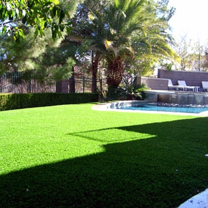 Artificial Turf in Sevenmile, Arizona