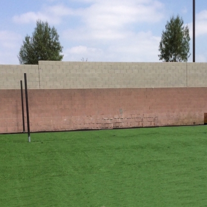 Artificial Turf in Second Mesa, Arizona