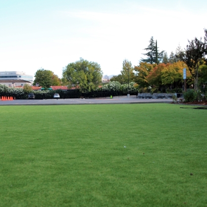 Synthetic Turf in Stanfield, Arizona