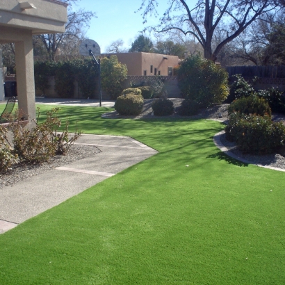 Outdoor Putting Greens & Synthetic Lawn in Vaiva Vo, Arizona