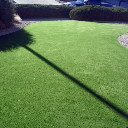 Synthetic Grass & Putting Greens in Pima, Arizona