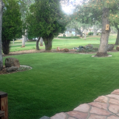 Synthetic Grass in Bylas, Arizona