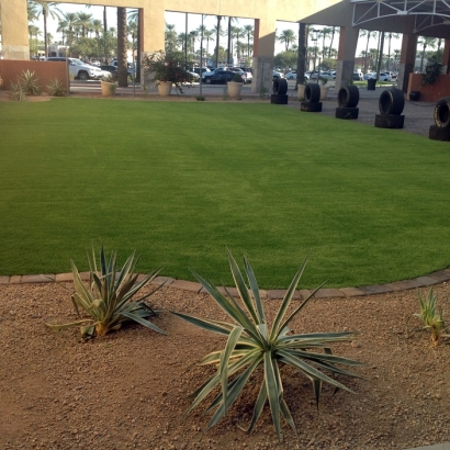 Artificial Turf in Gold Camp, Arizona