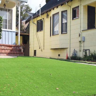 Artificial Turf in Hackberry, Arizona