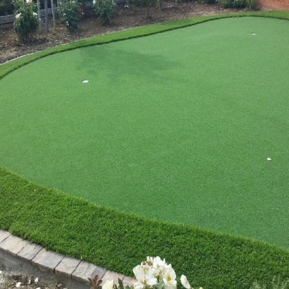 Fake Lawn Hotevilla-Bacavi, Arizona Putting Greens, Backyard Landscaping Ideas