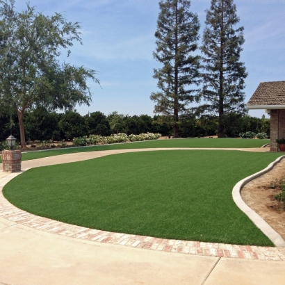 Synthetic Turf in Moccasin, Arizona