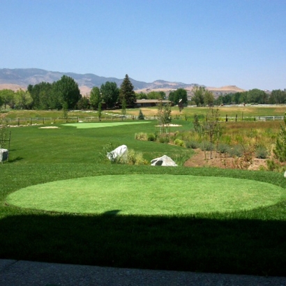 Best Artificial Turf in Page, Arizona
