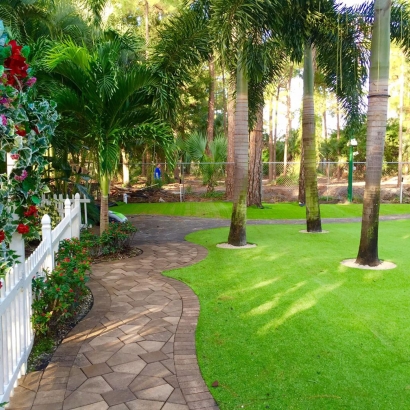 Artificial Grass in Top-of-the-World, Arizona