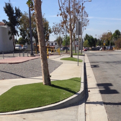 Artificial Grass in Corona de Tucson, Arizona