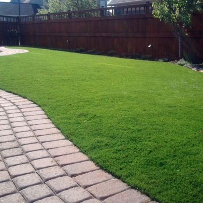 Fake Lawn Ventana, Arizona Landscaping, Backyard Design