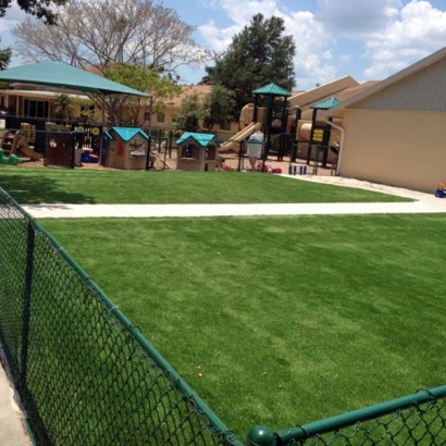 Fake Grass in Kino Springs, Arizona - Better Than Real