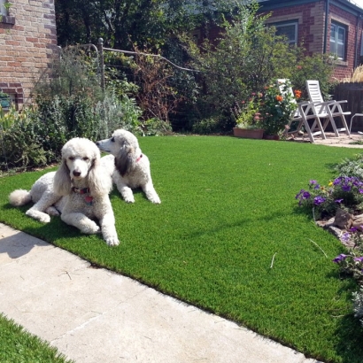 Synthetic Lawns & Putting Greens of Christopher Creek, Arizona