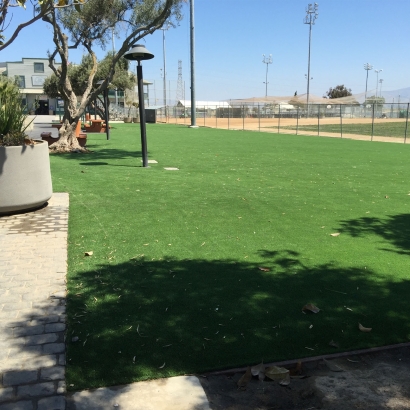 Artificial Grass in Mayer, Arizona