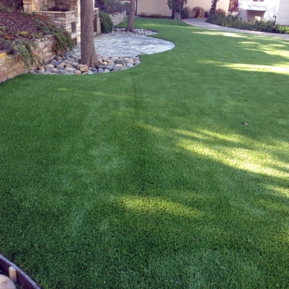 Artificial Turf in Oracle, Arizona