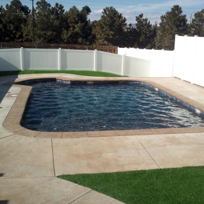 Artificial Turf in Hackberry, Arizona