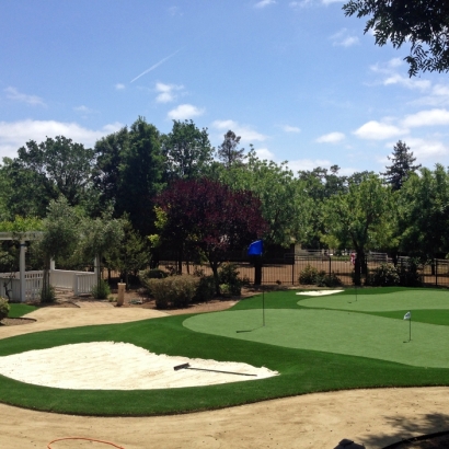 Artificial Turf in Pisinemo, Arizona