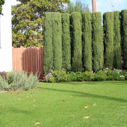 Fake Grass & Putting Greens in Alpine, Arizona