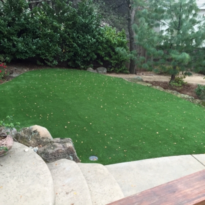 Faux Grass Avondale, Arizona City Landscape, Small Backyard Ideas