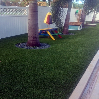 Synthetic Grass in Bouse, Arizona