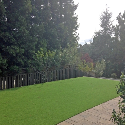 Synthetic Turf in Cactus Forest, Arizona