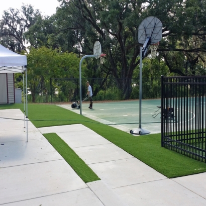 Artificial Grass in Cedar Creek, Arizona