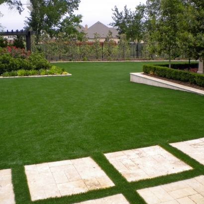 Artificial Turf in Coolidge, Arizona