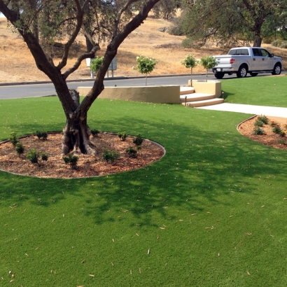 Fake Grass in First Mesa, Arizona