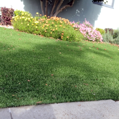 Artificial Turf in Fortuna Foothills, Arizona